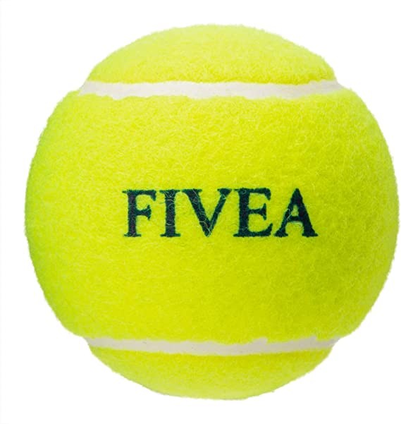 [amazon.co.jp limited] phivia hard tennis 1 game (12 packs) without folding fiv-12 ball